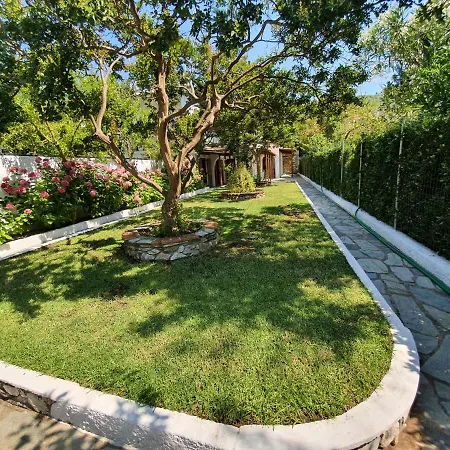 Dionisos And Apts Skiathos Апарт-отель Кукунарис