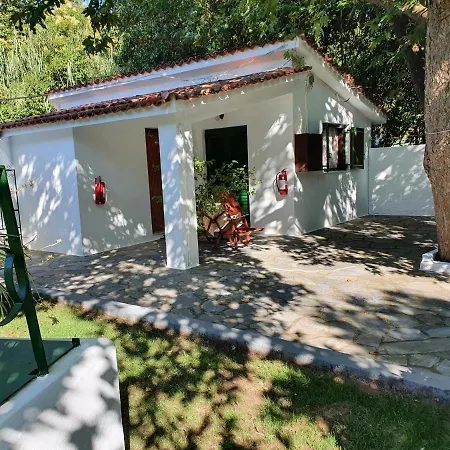 מלון דירות Dionisos And Apts Skiathos *