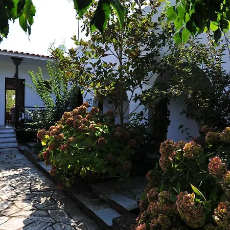 Апарт-отель Dionisos And Apts Skiathos